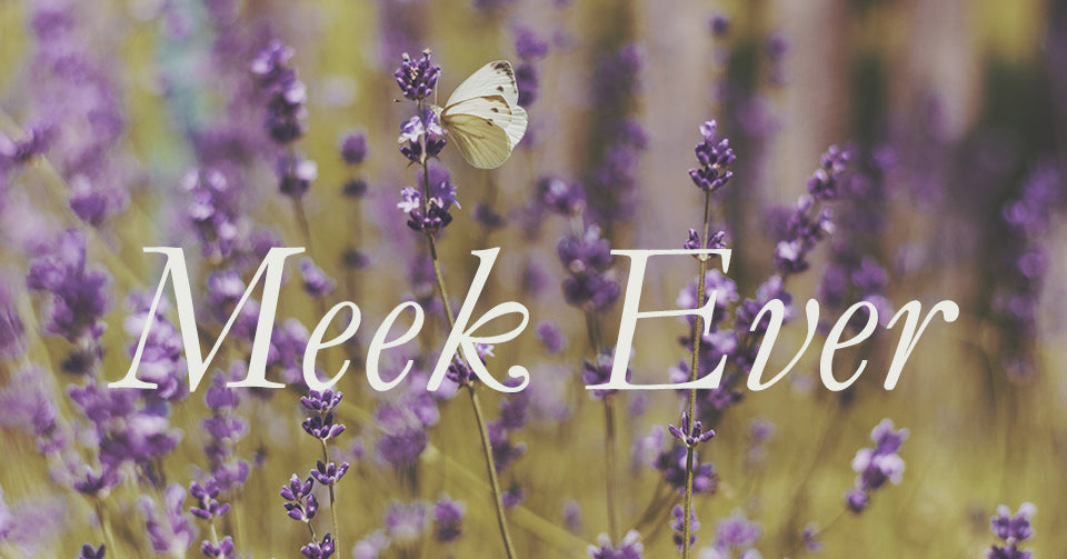 Introducing our new brand name “Meek Ever”
