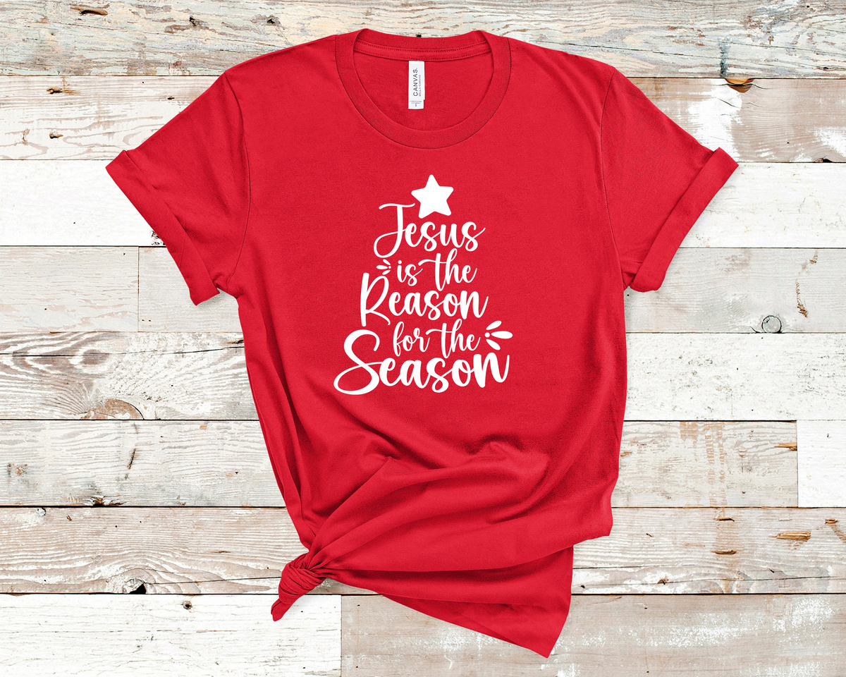 Jesus is The Reason for The Reason - Unisex t-shirt